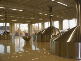 Бактерии – показатели санитарного состояния производства пива