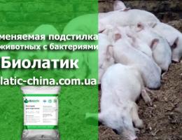 Несменяемая подстилка для животных с бактериями Biolatic