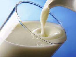 Биохимия молока