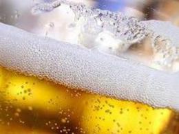 Характеристика микробных контаминантов производства пива