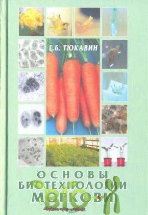 Основы биотехнологии моркови