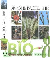 Жизнь растений. Том 4. Плауны. Хвощи. Папоротники. Голосеменные растения